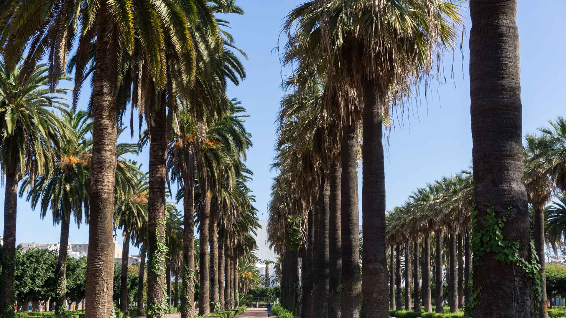 Parc Murdoch (ISESCO)